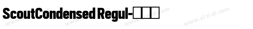 ScoutCondensed Regul字体转换